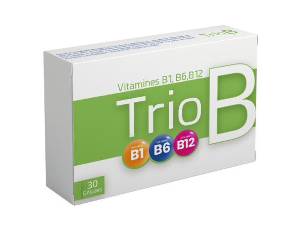 Etui Trio B