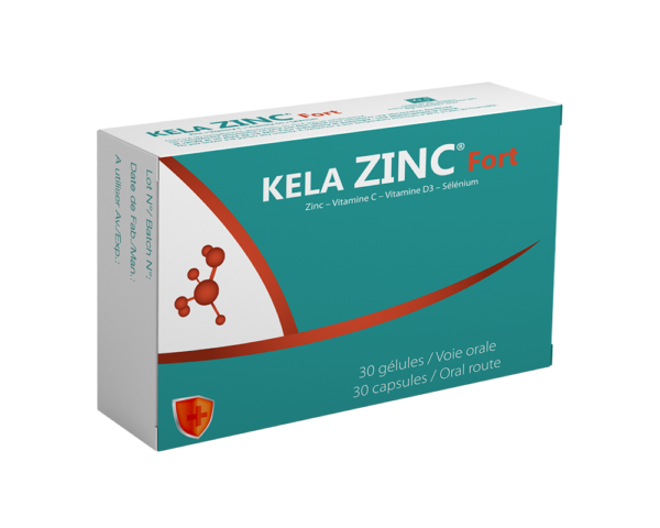 Kela Zinc Fort